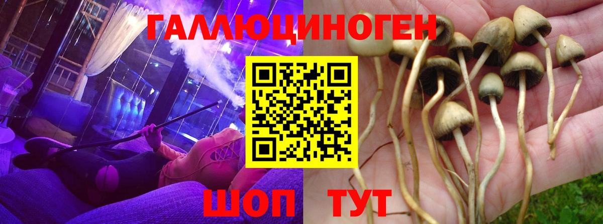 даркнет сайт  Вход с VPN  Кузнецк  Псилоцибиновые грибы MAGIC MUSHROOMS 