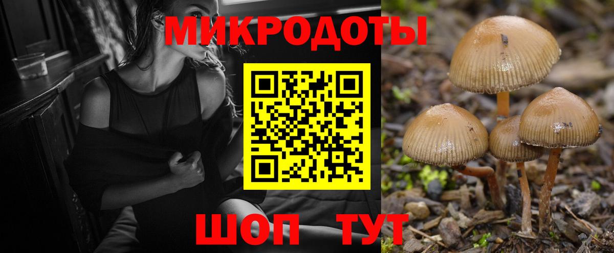 Псилоцибиновые грибы Magic Shrooms Кузнецк